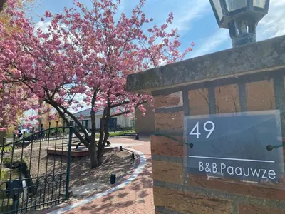 a sign in front of a tree with pink flowers at Paauwze in Rijnsburg