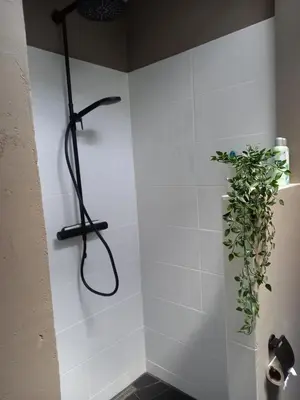 a shower in a bathroom with a plant on the wall at Vakantiehuis De Oude Bakkerij in Katwijk aan Zee