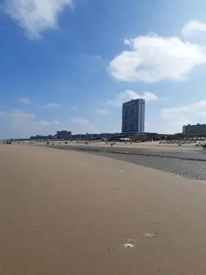 a view of the beach with buildings in the background at Sunny Residence in Zandvoort