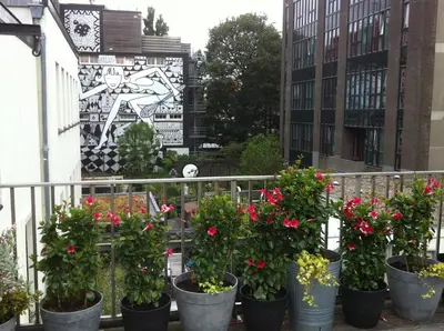 a row of potted plants on a balcony at Prince On The Roof in Amsterdam