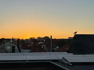 a bird sitting on the roof of a building at Mylos Studios in Alkmaar