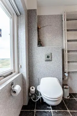 a bathroom with a white toilet and a window at Family Villa behind the Beach in Zandvoort