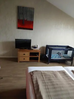 a bedroom with a dog in a crib and a tv at Boerderij Hazenveld in Kockengen