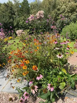 a garden filled with lots of different colored flowers at 99 Lifestyle Suite in Zwaag