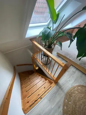 a small balcony with a plant and a window at ‘T Vissershuisje in Zandvoort