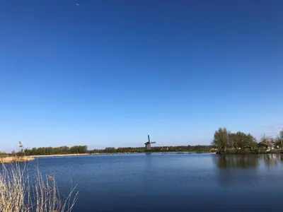 a large lake with a windmill in the distance at B&B Twiske Zuid, Amsterdam free parking in Amsterdam