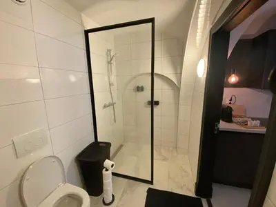 a bathroom with a shower and a toilet in it at Slapen onder de Dom in Utrecht