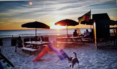 a person in the sand on the beach with a dog at Ferienhaus Abenteuer in Egmond aan Zee