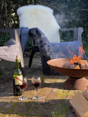 two glasses of wine next to a fire pit at Have a nice stay! - Raaff-71 sfeervol huis direct bij bos, duin en strand in Noordwijk