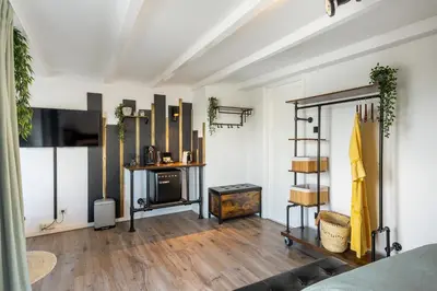 a living room with a fireplace and a tv at Zandvoort-17 in Zandvoort