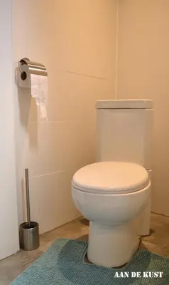 a bathroom with a white toilet with a blue rug at Zomerhuis 