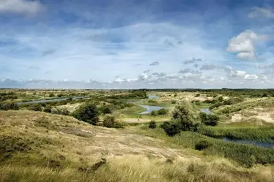 a view of a grassy field with a river at Beachtime close to the beach, city centre in Zandvoort