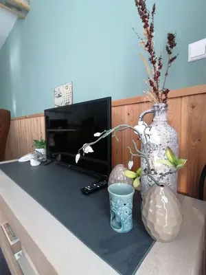 a table with two vases and a television and a vase with flowers at 4T4 Apartment B in Egmond aan den Hoef