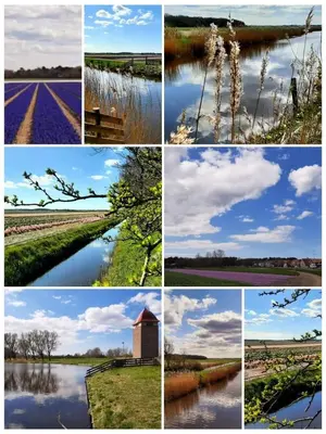 a collage of different photos of flowers and a river at 4T4 Apartment B in Egmond aan den Hoef