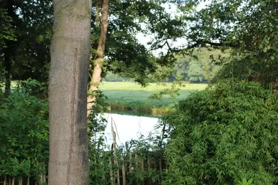 a view of a lake from between two trees at Huize Koempoelan in Naarden