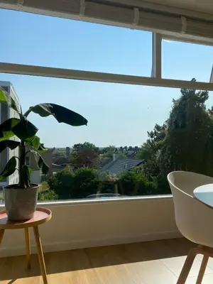 a large window in a room with a potted plant at The Shell Apartment in Zandvoort