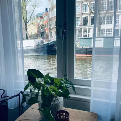 a plant sitting on a table in front of a window at Houseboat Bonnie in Amsterdam
