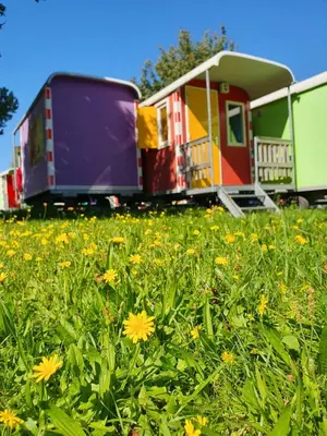 a group of mobile homes in a field of flowers at Camping Zeeburg Amsterdam in Amsterdam