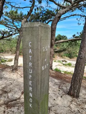 a sign in the sand in front of some trees at The Forester Schoorl in Schoorl