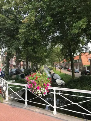 a white fence with flowers on the side of a street at De Haarlemse Logeerkamer in Haarlem