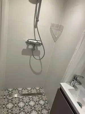 a bathroom with a shower and a sink at De Haarlemse Logeerkamer in Haarlem