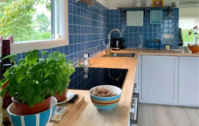 a kitchen with a sink and some plants on a counter at Zeemeermin in Egmond aan Zee