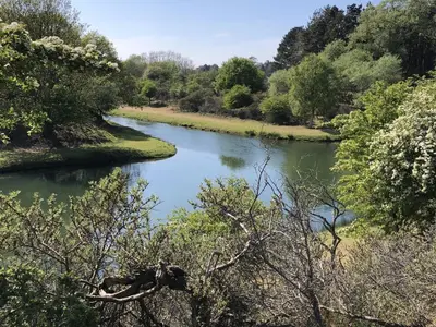 a view of a river with trees at Petite Maison Bennebroek in Bennebroek