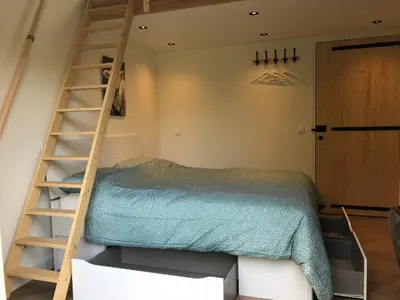a bedroom with a bunk bed and a ladder at Flora’s B&B in Landsmeer