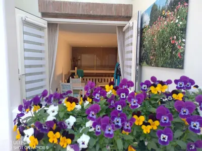 a room filled with purple and yellow flowers at Zeelucht in Zandvoort