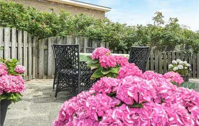 two chairs and pink flowers in front of a fence at Duinennest in Bergen aan Zee