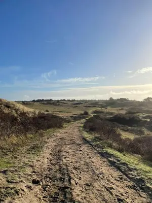 a dirt road in the middle of a field at Studio Waves in Egmond aan Zee