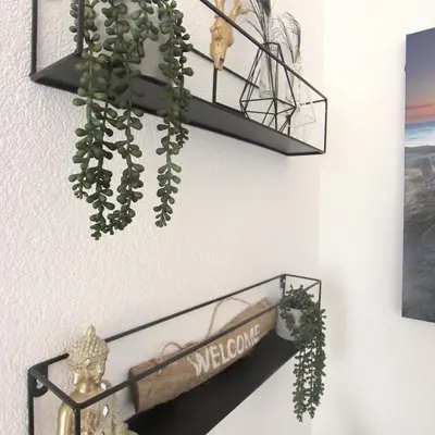 a plant hanging on a wall with a black shelf at Appartementen aan zee in Egmond aan Zee