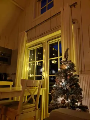 a christmas tree in front of a window at Bed en breakfast Onder aan de dijk in Warder