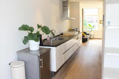 a kitchen with a sink and a potted plant on a counter at The Canalview Retreat in Amsterdam