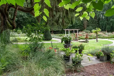 a garden with plants and a bench and a tree at Amsterdamgarden - stunning garden villa with pool close to Amsterdam in Laren