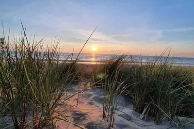 a beach with tall grass and the ocean at sunset at Casa The Wave with infrared sauna in Noordwijkerhout