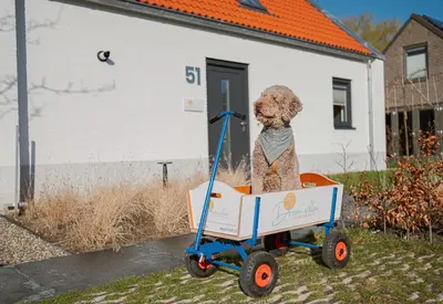 a statue of a teddy bear in a wagon at Dromen in de duinen by Droomvilla in Sint Maarten