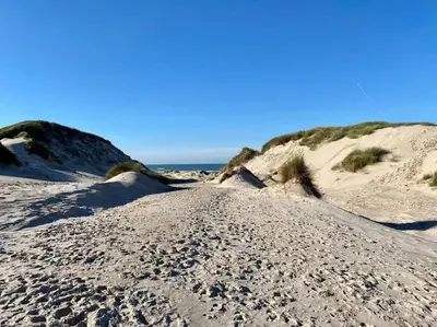 a sandy beach with dunes and the ocean in the background at Slapen tussen de duinen by Droomvilla in Sint Maarten