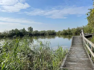 a wooden boardwalk over a lake with a bridge at Hip in Sint Maarten by Droomvilla in Sint Maarten