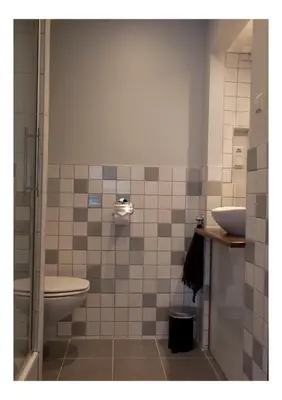 a bathroom with a toilet and a sink at Bed & Breakfast De Ruige Weide in Oudewater
