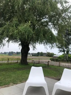 two white benches sitting under a tree in a park at Country house between Egmond aan Zee & Amsterdam in Castricum