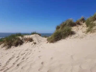 a sand dune with grass on top of it at Country house between Egmond aan Zee & Amsterdam in Castricum