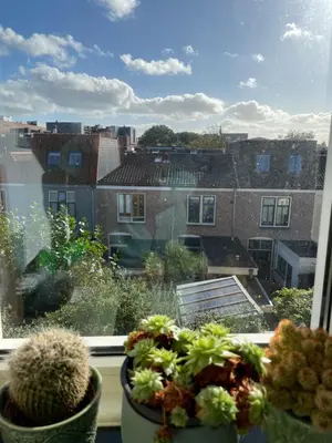 a window with two potted plants on a window sill at Cosy appartment in Alkmaar