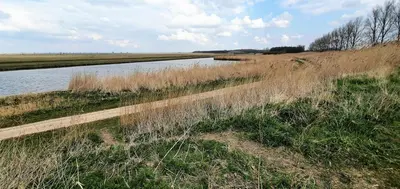 a body of water next to a field with tall grass at Inntermezzo in Almere