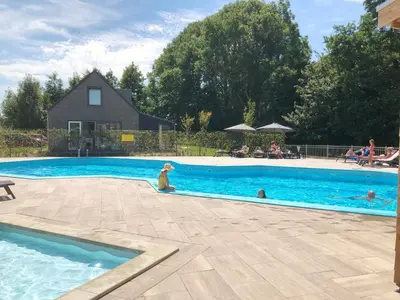 a dog is sitting in a swimming pool at Chalet 575 op Recreatiepark De Wielen in Sint Maarten