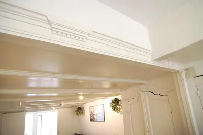a room with a white ceiling with plants on it at Cosy apartment right in the city center with AIRCO! in Amsterdam