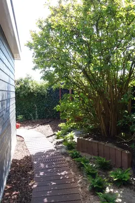 a sidewalk next to a house with a tree at Quetzal in Schoorl