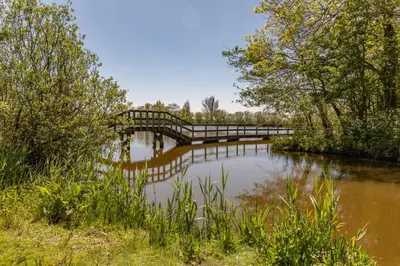 a bridge over a body of water with trees at Chalet 3a op Recreatiepark De Wielen in Sint Maarten
