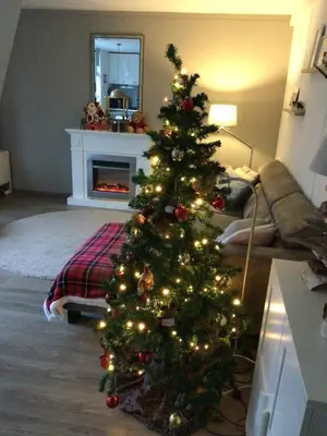 a christmas tree in a living room with a fireplace at Appelbloesem in Bergen