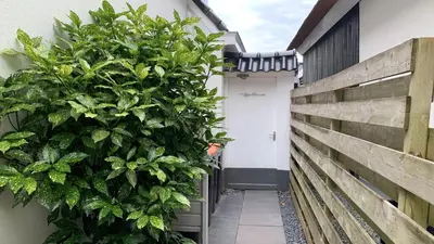 a large green plant on the side of a building at Appelbloesem in Bergen